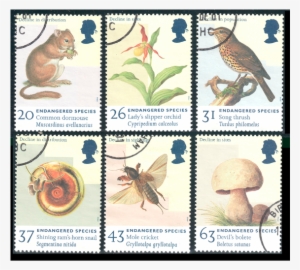 3 - 4 - Tif - Endangered Species Postage Stamp
