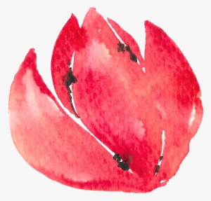Hand Painted Half Open Flower Watercolor Transparent - Visual Arts