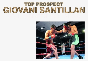 14 Ranked Bantamweight By The Wbc, Delivered Another - Professional Boxing
