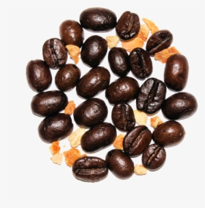 Chocolate Covered Orange Slice - Seed