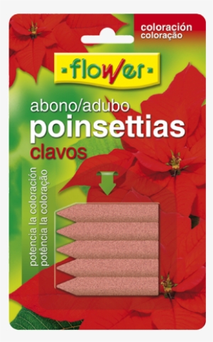 Abono Clavos Poinsettias - Flower Poinsettias Nails Blister Fertilizer 5u 10839