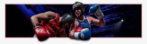Meet The Boxers Page Header For The Tower Fitness Corporate - Tower Fitness Gym