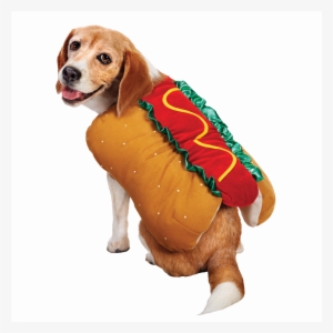 The Cutest Halloween Pet Costumes Ever Like Ever Fabfitfun - Dog In Halloween Costume Transparent