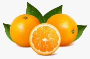 Orange Slice Png Transparent Image - Orange Fruit Images Png
