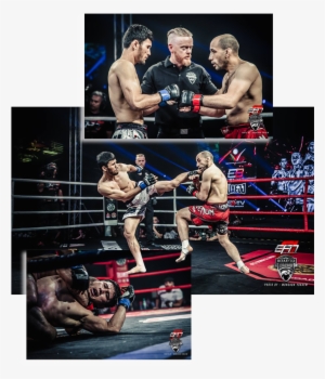 Someone's Winning Streak Is About To Be Ended That - Professional Boxing