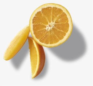 Source - Www - Cboldcountrystore - Com - Report - Orange - Orange Slice