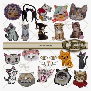 Cats Collection - Cat