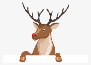 18 Dec - Rennes En Dessin Vu De Profil