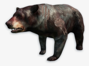 Far Cry 4 Bear Png