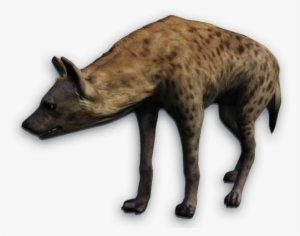 Far Cry 2 Animals Download - Far Cry Primal Hyena