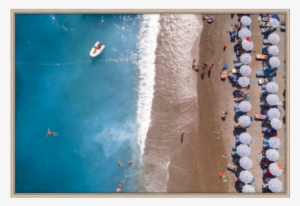 Limited Edition Acqua - Gull