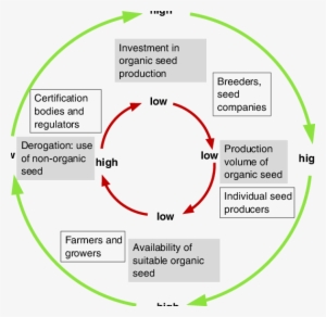 A Vicious Circle And A Virtuous Circle (light Green, - Virtuous Vicious