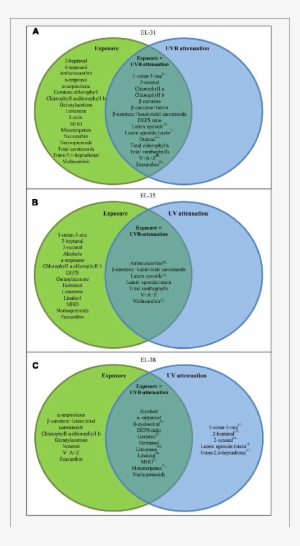 A Venn Diagram Showing The Compounds Which Responded - .org