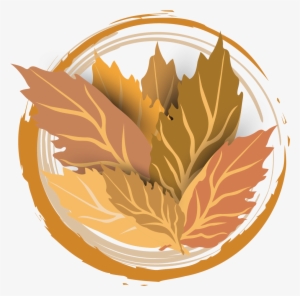 Tobacco Leaf Transparent Background