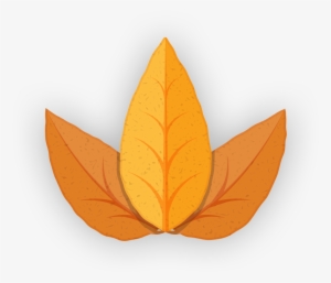 Tobacco Leaf 2 - Illustration