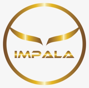 How We Built The World's First Peer To Peer Cross Border - Everglades Alligator Farm