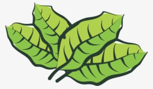 Leaf