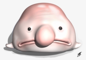 If The Thought Of Adoption Has Ever Crossed Your Mind, - Beluga Whale