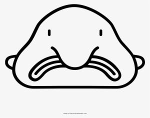 Png Free Stock Collection Of Blob Fish Coloring Pages - Blobfish Black And White