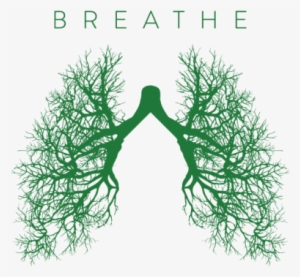 “my Goal Is Not To Punish Smoking, A Very Powerful - Csulb Breathe