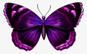 Pink Butterfly Wings Png Download - Purple Butterfly Png Transparent