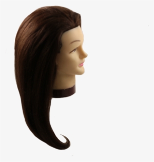 24" Brunette Mannequin Head - Head