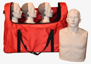 Bigred™ Adult Cpr Manikin With Led Light Cpr Feedback - Transparent Anatomical Manikin