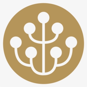 The Rooted Experience