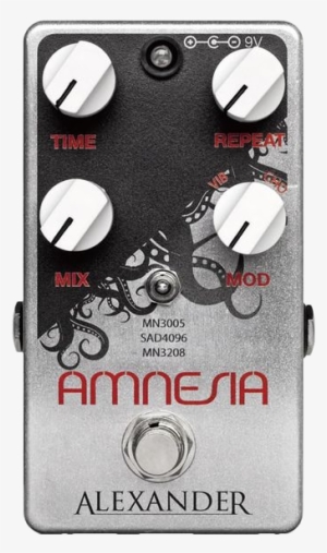 Alexander Amnesia
