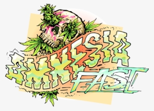 Amnesia Fast Feminised Seeds - Seed