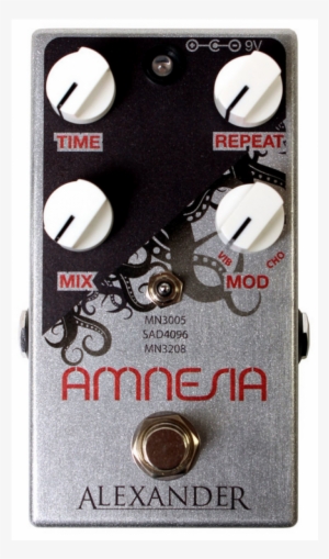 3 Delay Mode - Alexander Pedals Amnesia Vintage Delay Pedal