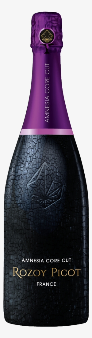 Pack Luxe Amnesia Cora Cut Copie - Best Champagne