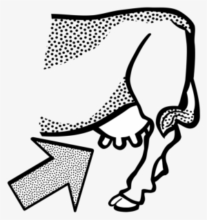 English Longhorn Udder Texas Longhorn Taurine Cattle - Udder Clipart Black And White