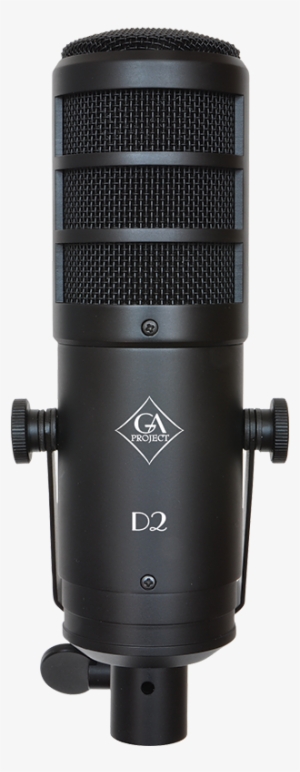 Golden Age Project D2 - Golden Age Project D2-large Diaphragm Dynamic Microphone