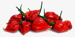Hot Habanero Chile Peppers - Habanero Transparent