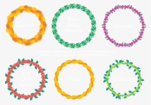Leis