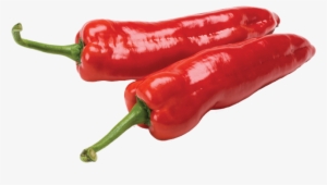 Go To Image - Bird's Eye Chili