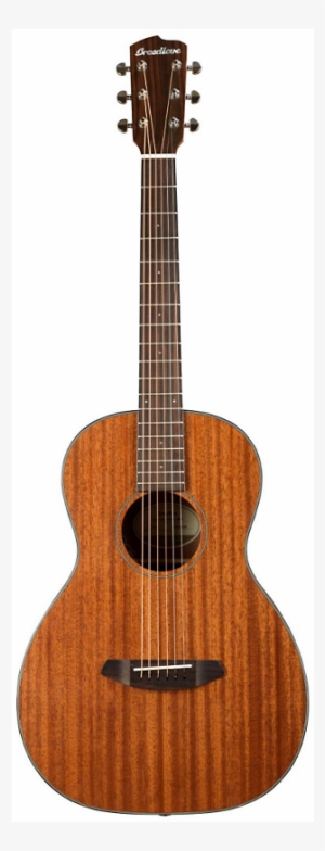 Breedlove Discovery Parlor - Supro Coronado Guitar 1960