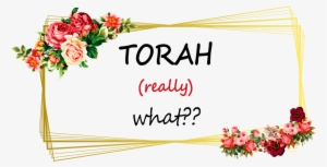Torah What - Torah