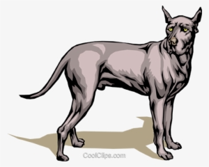 Great Dane Royalty Free Vector Clip Art Illustration - Vector Graphics
