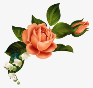 Orange Flower Clipart Corner - Youth Shawn Mendes Lyrics