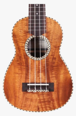 Cordoba 25s (25s Soprano Ukulele) Guitar