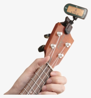 From The Manufacturer - Korg Aw-2u