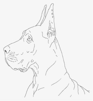 Free Great Dane Lineart By Deaththewolf14-d8c2moj - Great Dane