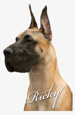 Moonriver's Mischievous Moonlight - Mischievous Moonlight