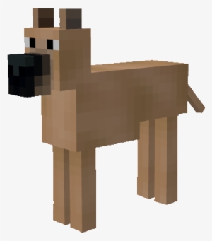 Copious Great Dane - Donkey