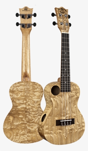 Snail Quilted Ash Ukulele - Amahi Snail Quilted Ash Concert Ukulele With Gig Bag