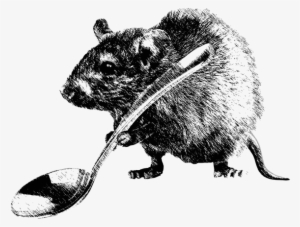 Usage - - Rat