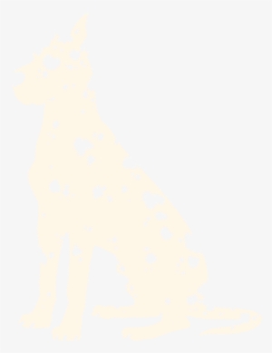 Dalmatian - Great Dane