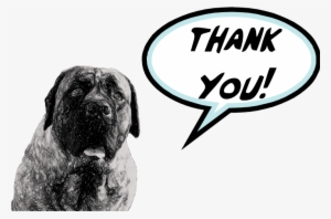 A Mastiff Blog February Well The Good - Labrador Retriever